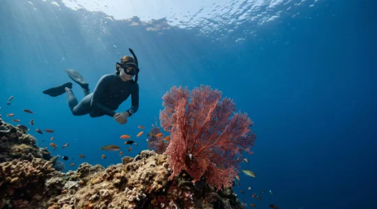 Plongeur en flottabilite neutre observant a distance respectueuse une gorgone rouge dans la reserve marine protegee de la Cote Vermeille